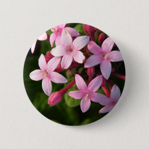 Pentas Button