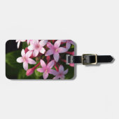 Pentas Gepäckanhänger (Vorderseite horizontal)