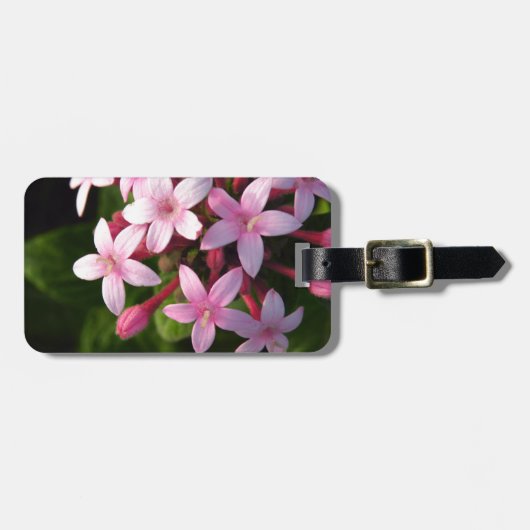 Pentas Gepäckanhänger (Vorderseite horizontal)