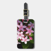 Pentas Gepäckanhänger (Vorderseite vertikal)