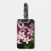 Pentas Gepäckanhänger (Rückseite vertikal)