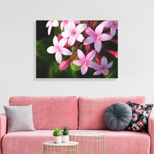 Pentas Leinwanddruck (Insitu (Wohnzimmer))