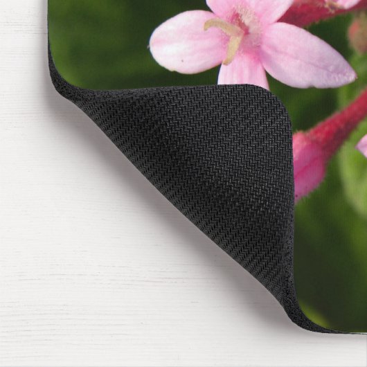 Pentas Mousepad (Ecke)