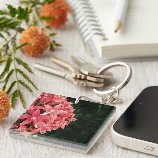 Pentas Schlüsselanhänger (Vorderseite rechts)