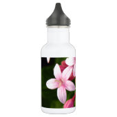 Pentas Trinkflasche (Links)