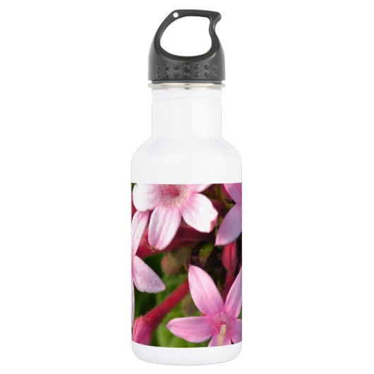 Pentas Trinkflasche (Vorderseite)