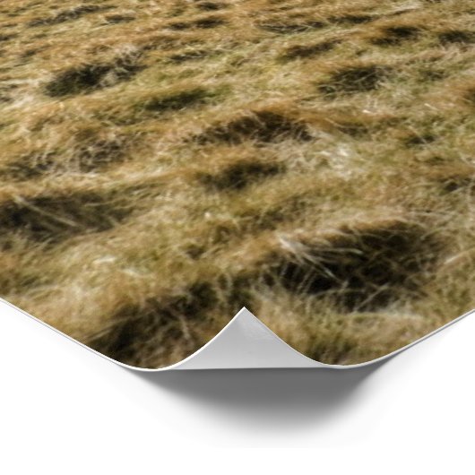 Pentland Hills, Edinburgh Poster (Ecke)