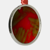 Penumonia Bakterien Ornament Aus Metall (Rechts)