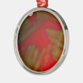 Penumonia Bakterien Ornament Aus Metall (Links)