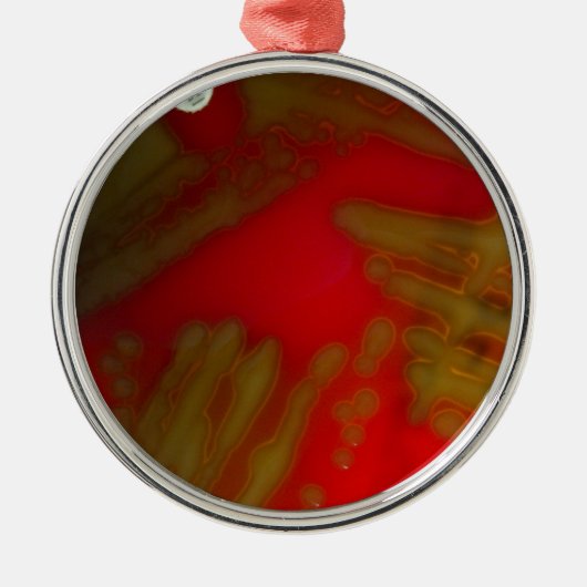 Penumonia Bakterien Ornament Aus Metall (Vorne)