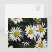 PEO-Karte Postkarte (Vorne/Hinten)