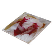 Peonblätter Fliese (Seite)