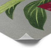 Peonblüte, rosa und rote Blume 1939 Poster (Ecke)