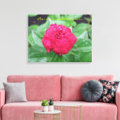 Peonie After Rain Wrapped Canvas Leinwanddruck (Insitu (Wohnzimmer))