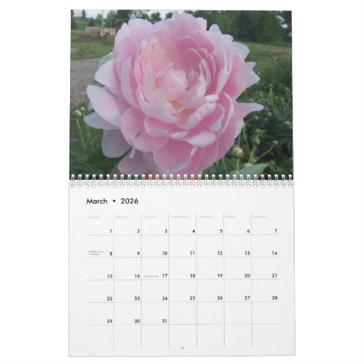 Peonies 2017 Blume Kalender (Mär 2026)