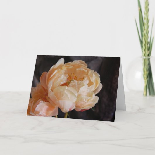 Peonies 6 karte (Vorderseite)