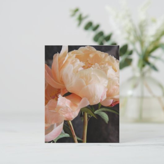 Peonies 7 postkarte (Stehend Vorderseite)