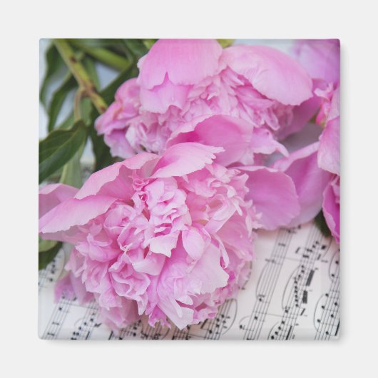 Peonies auf Klaviermusik Magnet (Vorne)