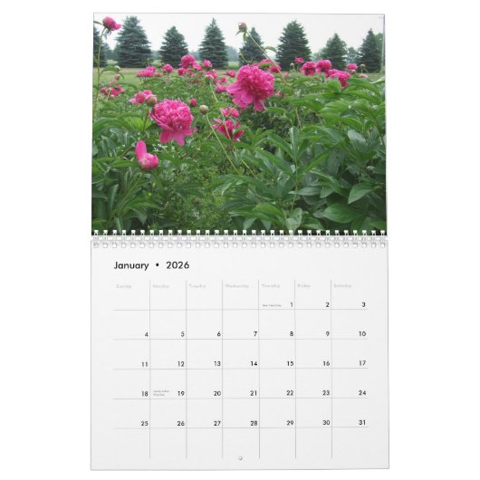 Peonies Calendar 2019 Kalender (Jan 2026)