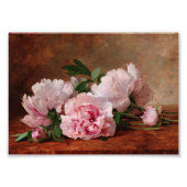 Peonies Fotodruck (Vorne)
