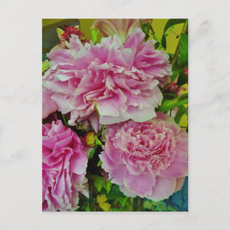 Peonies Französischer Country Stil Postkarte