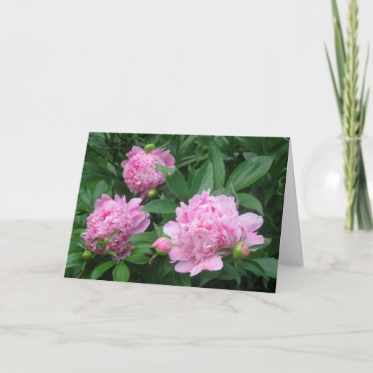 Peonies Karte (Vorderseite)