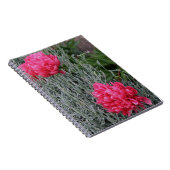 Peonies & Lavender Notizblock (Rechte Seite)