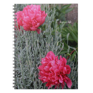 Peonies & Lavender Notizblock