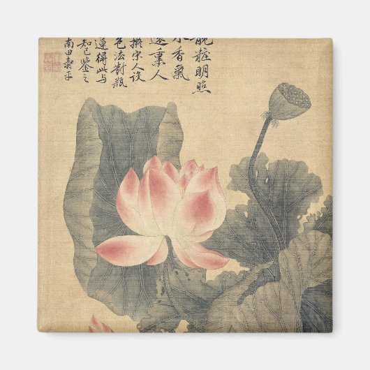 Peonies Magnet (Vorne)