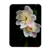 Peonies Magnet (Vertikal)