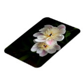 Peonies Magnet (Linke Seite)