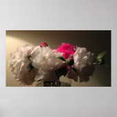 Peonies, Poster (Vorne)