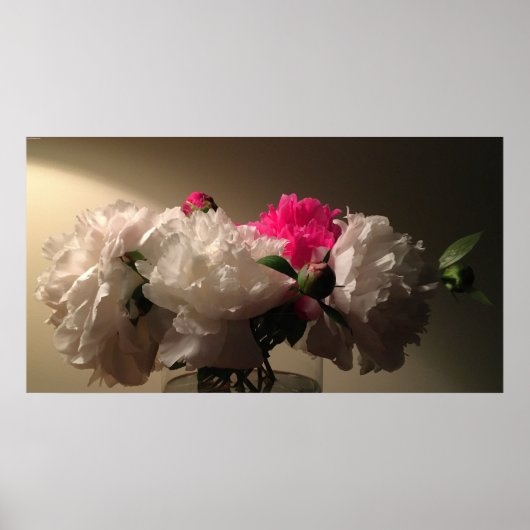 Peonies, Poster (Vorne)