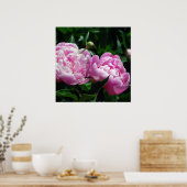 Peonies Poster (Küche)