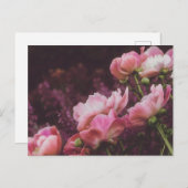 Peonies Postkarte (Vorne/Hinten)