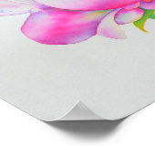 Peonies, rosa, weiß, blühende Aquarellbilder Poster (Ecke)