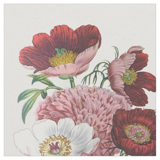 Peonies Stoff (Nahaufnahme)
