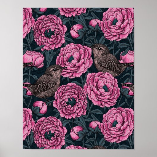 Peonies und Warnen auf dunkelgrau Poster (Vorne)