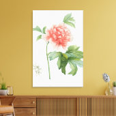 Peony, 1799 (Farbstippeldruck) Leinwanddruck (Insitu (Wohnzimmer))