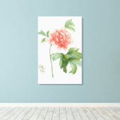 Peony, 1799 (Farbstippeldruck) Leinwanddruck (Insitu (Holzboden))