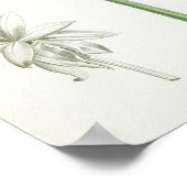 Peony, 1799 (Farbstippeldruck) Poster (Ecke)