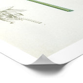 Peony, 1799 (Farbstippeldruck) Poster (Ecke)