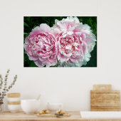 Peony 2 Poster (Küche)