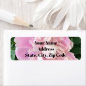 Peony Address Labels (Insitu)