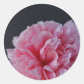 Peony auf dunklem Hintergrund Runder Aufkleber (Vorderseite)