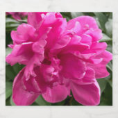 Peony Bierflaschenetikett (Einzelnes Label)