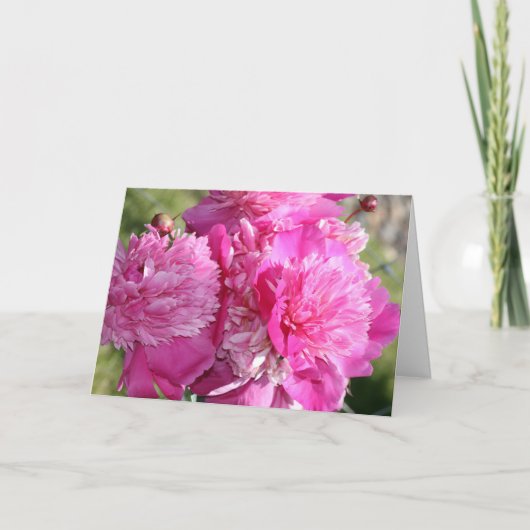 Peony Birthday Card Karte (Vorderseite)