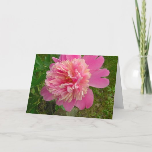 Peony Birthday Card Karte (Vorderseite)