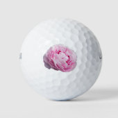 Peony Blossom Rose für Blume und Garten Lover Golfball (Vorderseite)