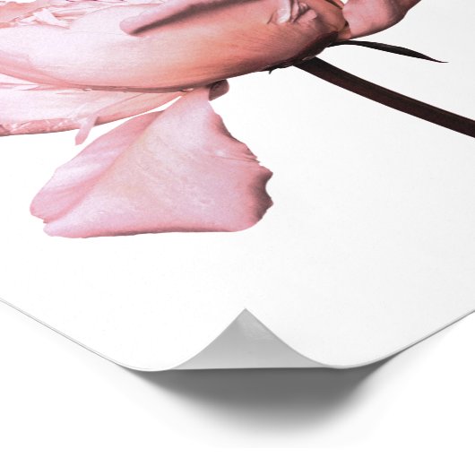 Peony Blume Floral Botanic Poster (Ecke)